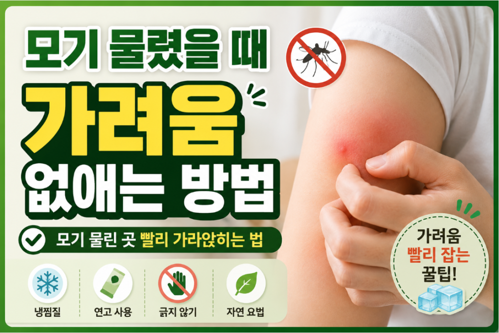 모기 물렸을 때
가려움 빨리 없애는 법