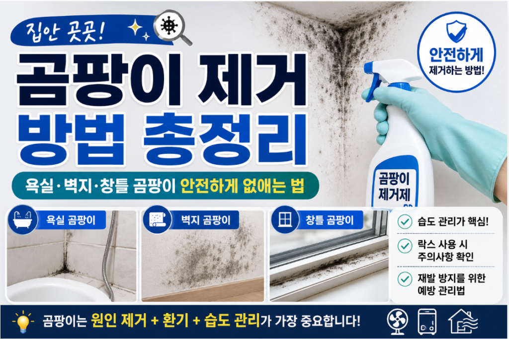 곰팡이 제거
방법 총정리